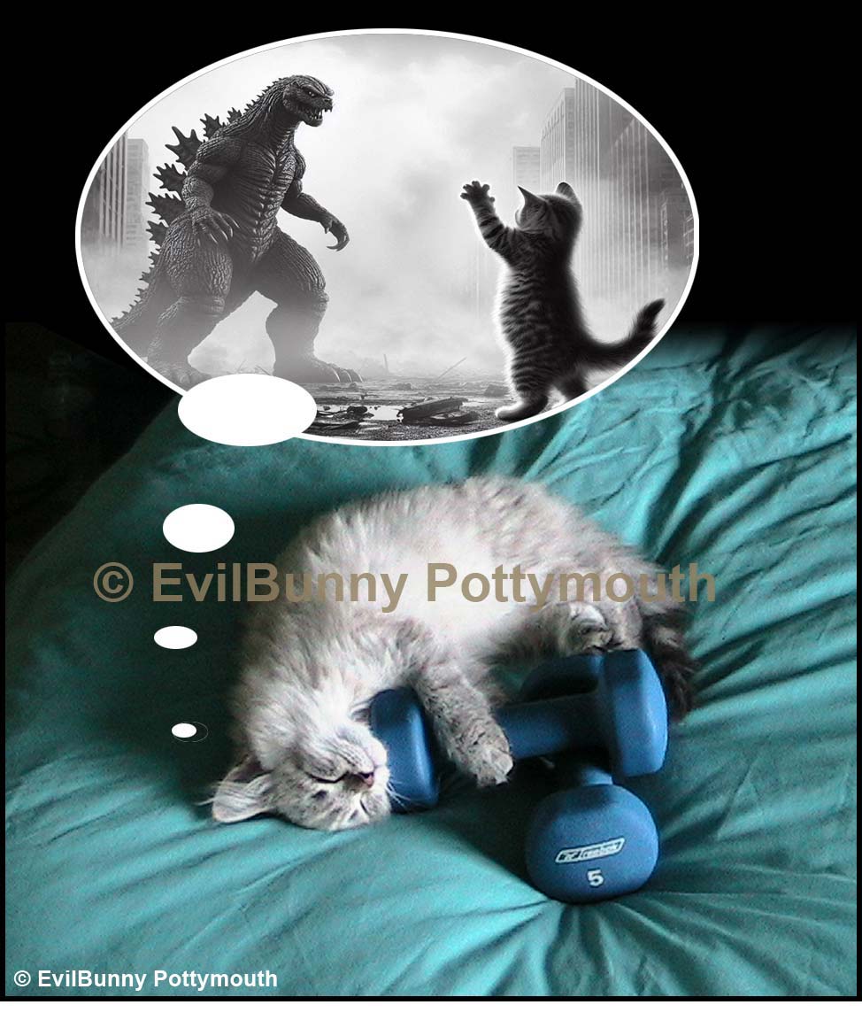 Dreams
